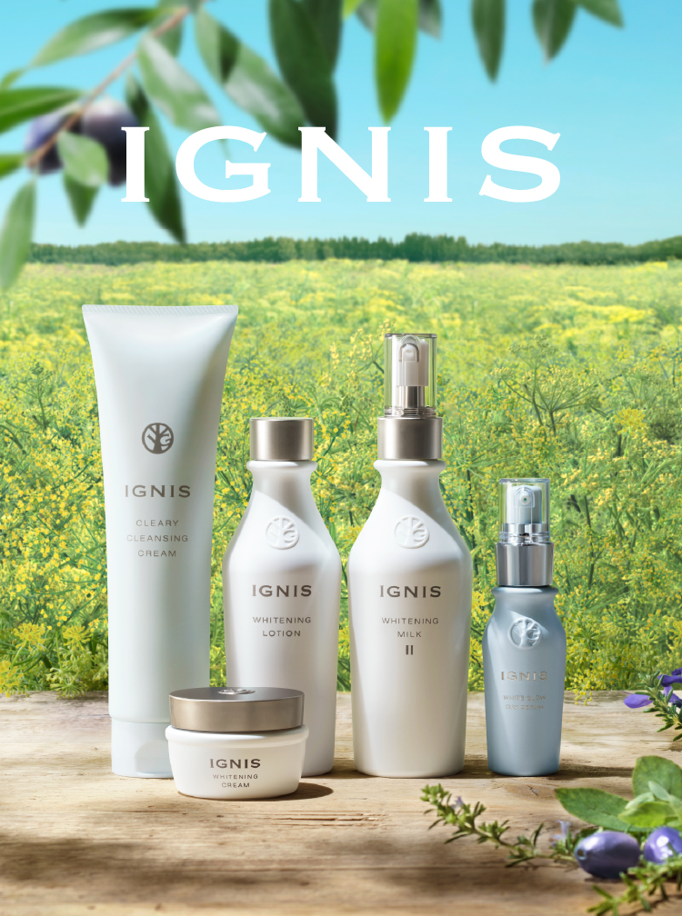 IGNIS