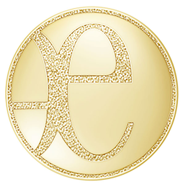 エレガンス パウダーファンデーション　ケース